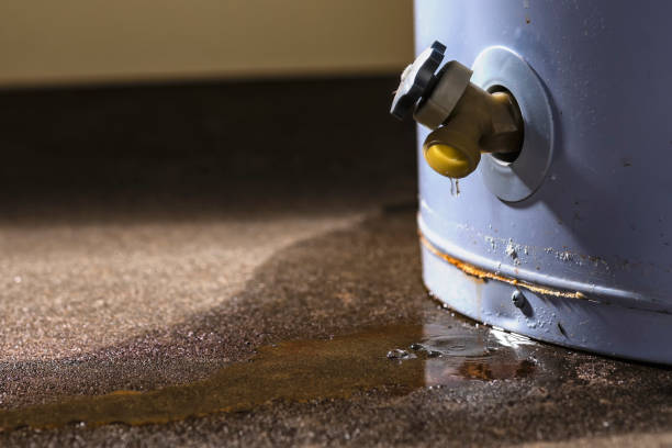 Best Water damage restoration near me  in Llender, CA