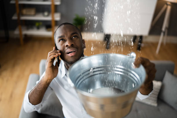 Best Flood damage cleanup  in Llender, CA