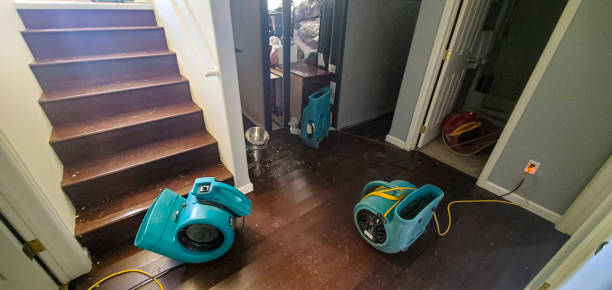 Best Water damage cleanup near me  in Llender, CA