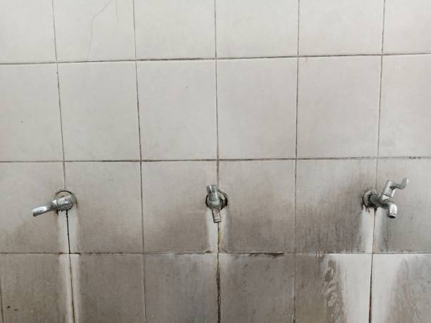 Best 24/7 water damage repair  in Llender, CA