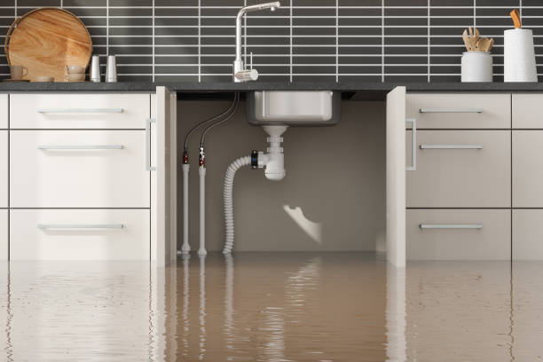 Water damage restoration mold remediation in Callender, CA